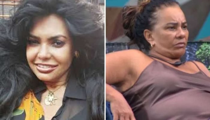 274276480-bbb26-solange-couto-e-acusada-de-dever-fortuna-a-ex-pornochanchada-ingratidao.jpg