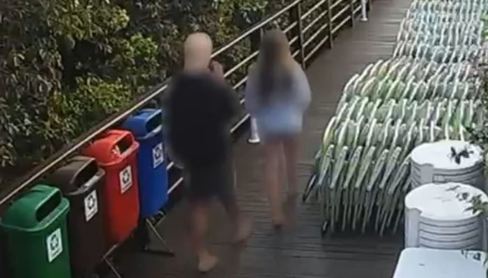 Cao-Orelha-veja-video-que-mostra-adolescente-retornando-apos-agressoes-.jpg