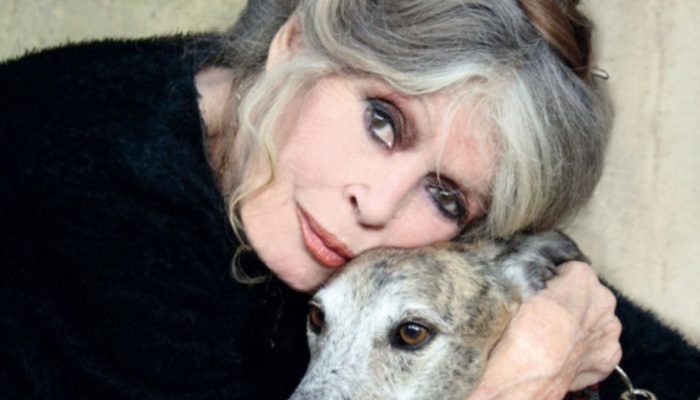 Fundacao-de-animais-de-Brigitte-.jpg