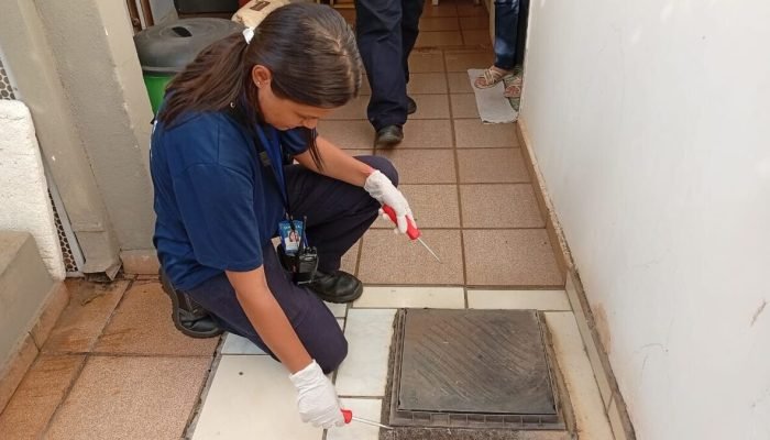 O-trabalho-consiste-no-uso-de-corantes-em-pontos-d-00994395-0-202506091534-1.jpg