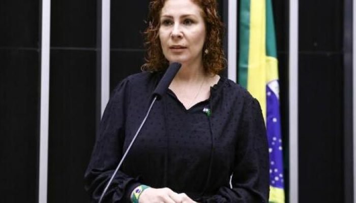 a-deputada-carla-zambelli-no-plenario-da-camara-1747145936755_v2_615x300.jpg
