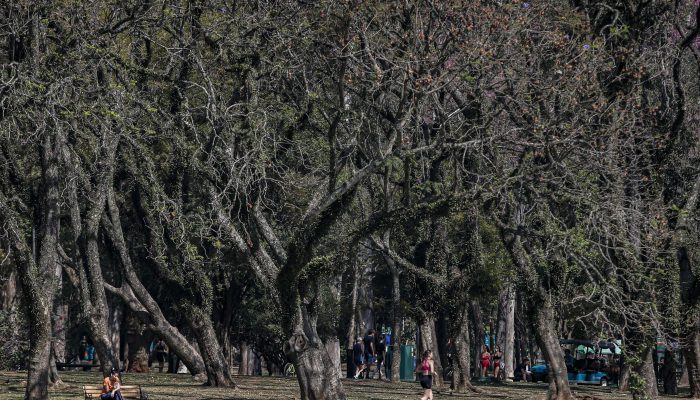 calor_ibirapuera_13_0.jpg