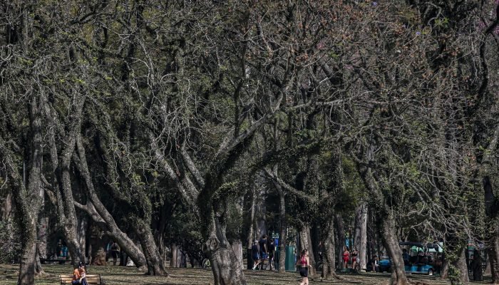 calor_ibirapuera_13_0.jpg