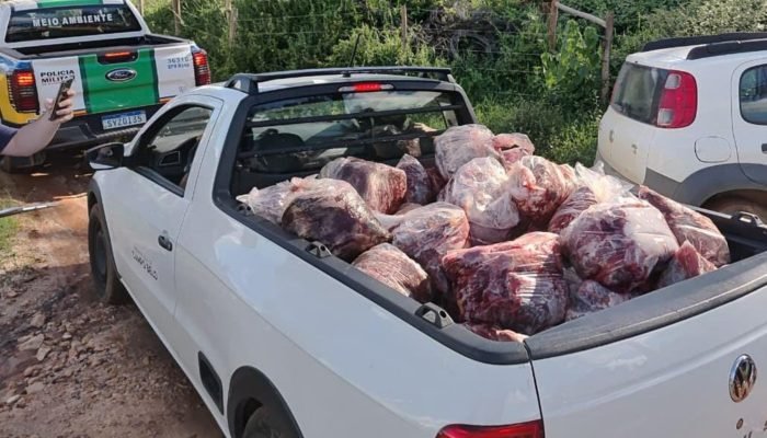 carne-ilegal.jpeg