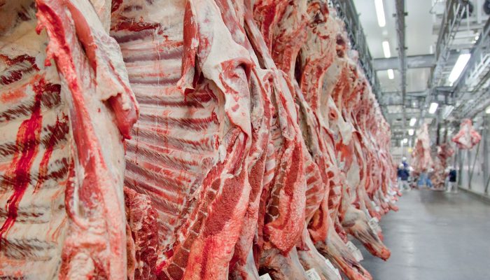 carne2.jpg