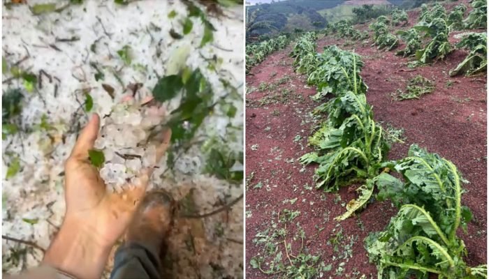 chuva-granizo.jpg