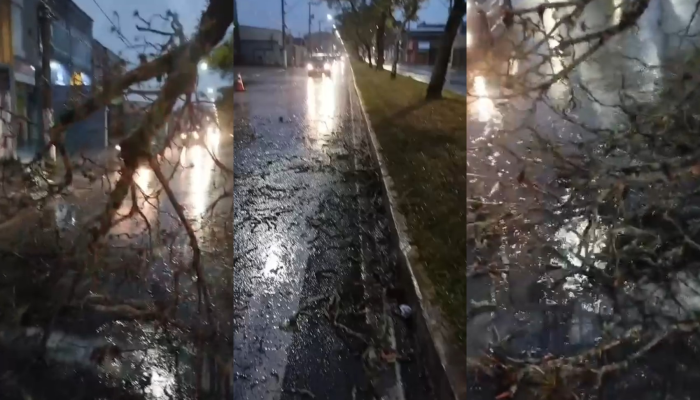 chuva-pouso.png