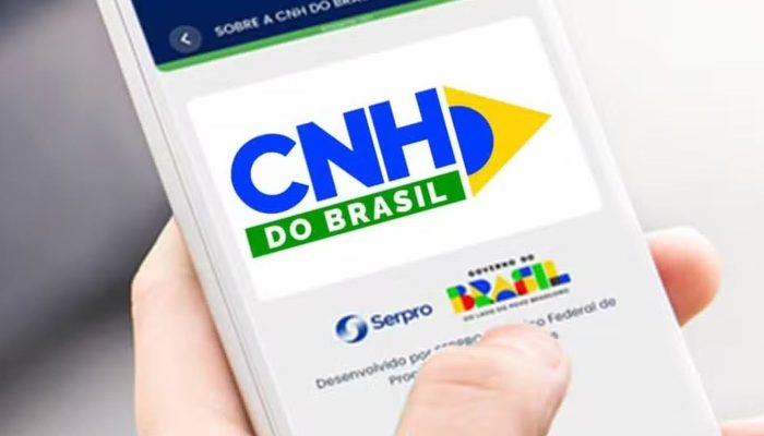 cnh-do-brasil_copy.jpg