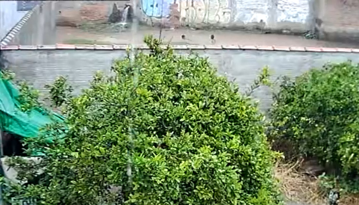 desaparece.png