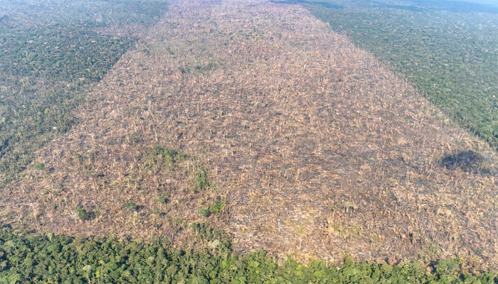 desmatamento-em-labrea-municipio-do-sul-do-amazonas-foto-victor-moriyama-amazonia-em-chamas-2021-2.j.jpeg desmatamento-em-labrea-municipio-do-sul-do-amazonas-foto-victor-moriyama-amazonia-em-chamas-2021-2.j.jpeg