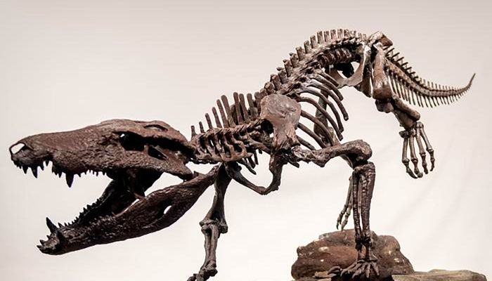 dinossauro-2.jpg