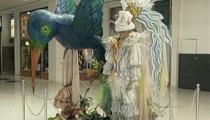 fantasia-beija-flor.jpg