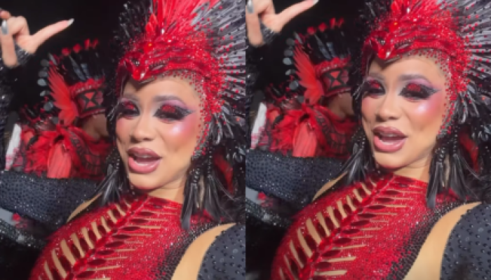 foto-lexa-completa-31-anos-no-desfile-das-campeas-de-sp-pela-dragoes-da-real-430x289.png