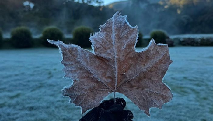 frio5.jpeg