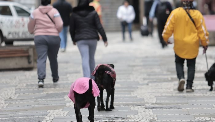frio_sp01.jpg