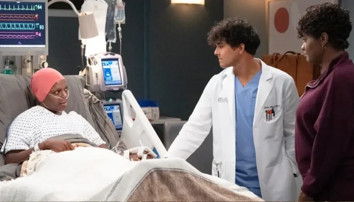 greys-anatomy-22x13-review.webp.webp