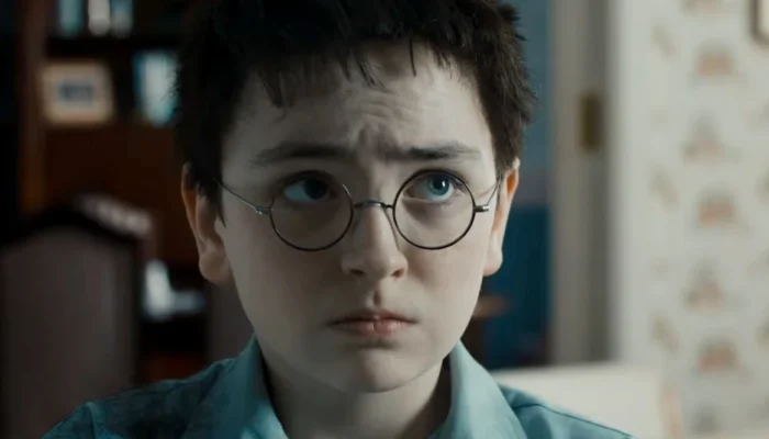 harry-potter-boicote.webp.webp