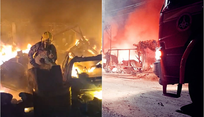 incendio-cadela.png