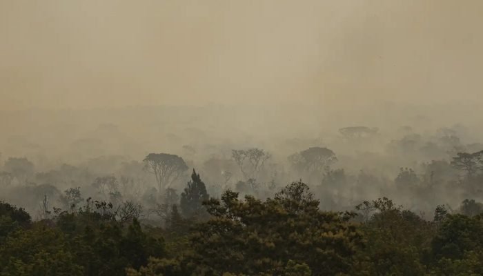 incendio-parque-nacionall_mcamgo_abr_16092024-9.jpg