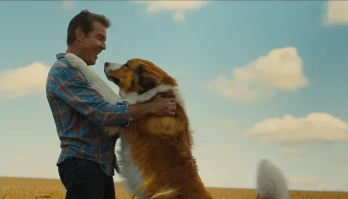juntos-para-sempre-filme-sessao-da-tarde.webp.webp