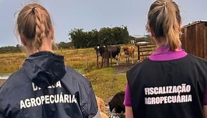 mg_confirma_gripe_aviaria_em_passaro_silvestre_diz_vice-governador2.jpg