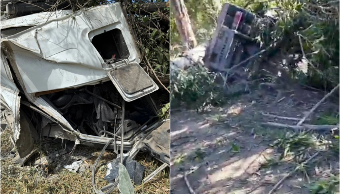 montagemacidente.png montagemacidente.png