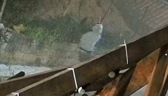 morador.png