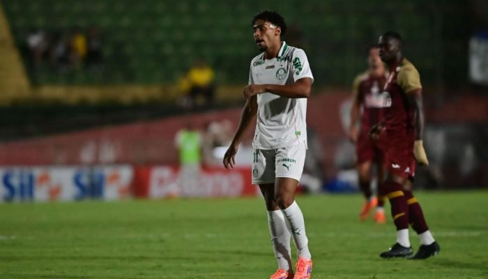 palmeiras-lusa-e1768094328313.jpg