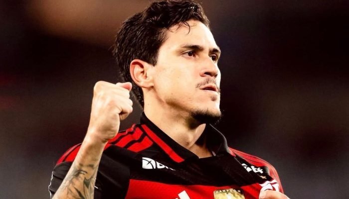 pedro-flamengo-e1770511923519.jpeg