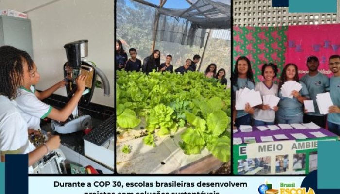 projetos-escolares-com-solucoes-sustentaveis.jpg