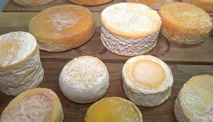 queijo-1.jpg
