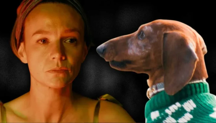treta-cachorro-morre-2-temporada.webp.webp