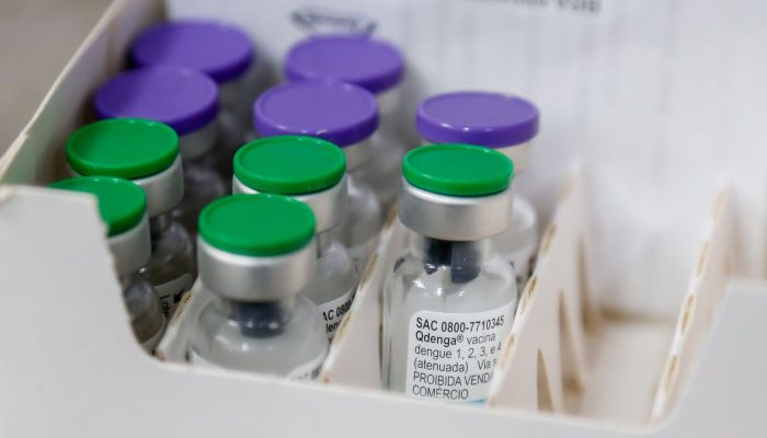 vacina_dengue_03.jpg